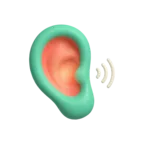 Ear